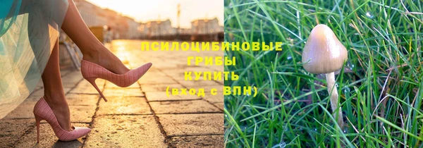 первитин Кодинск